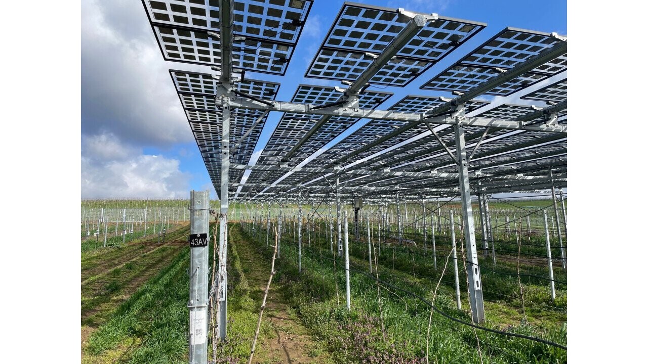 Agri-photovoltaics in existing vineyards in Geisenheim