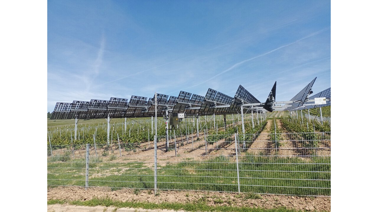 Agri-Photovoltaik im bestehenden Weinanbau Geisenheim