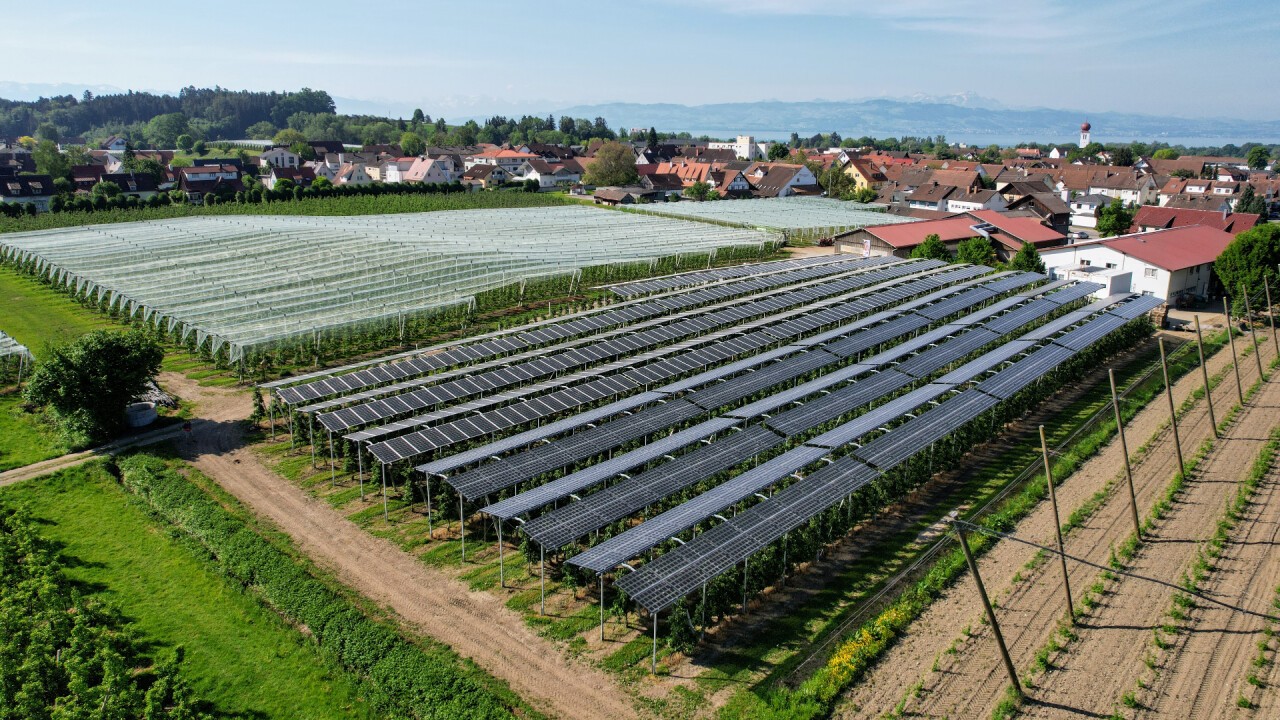 Agri-Photovoltaik im bestehenden Apfelanbau Kressbronn