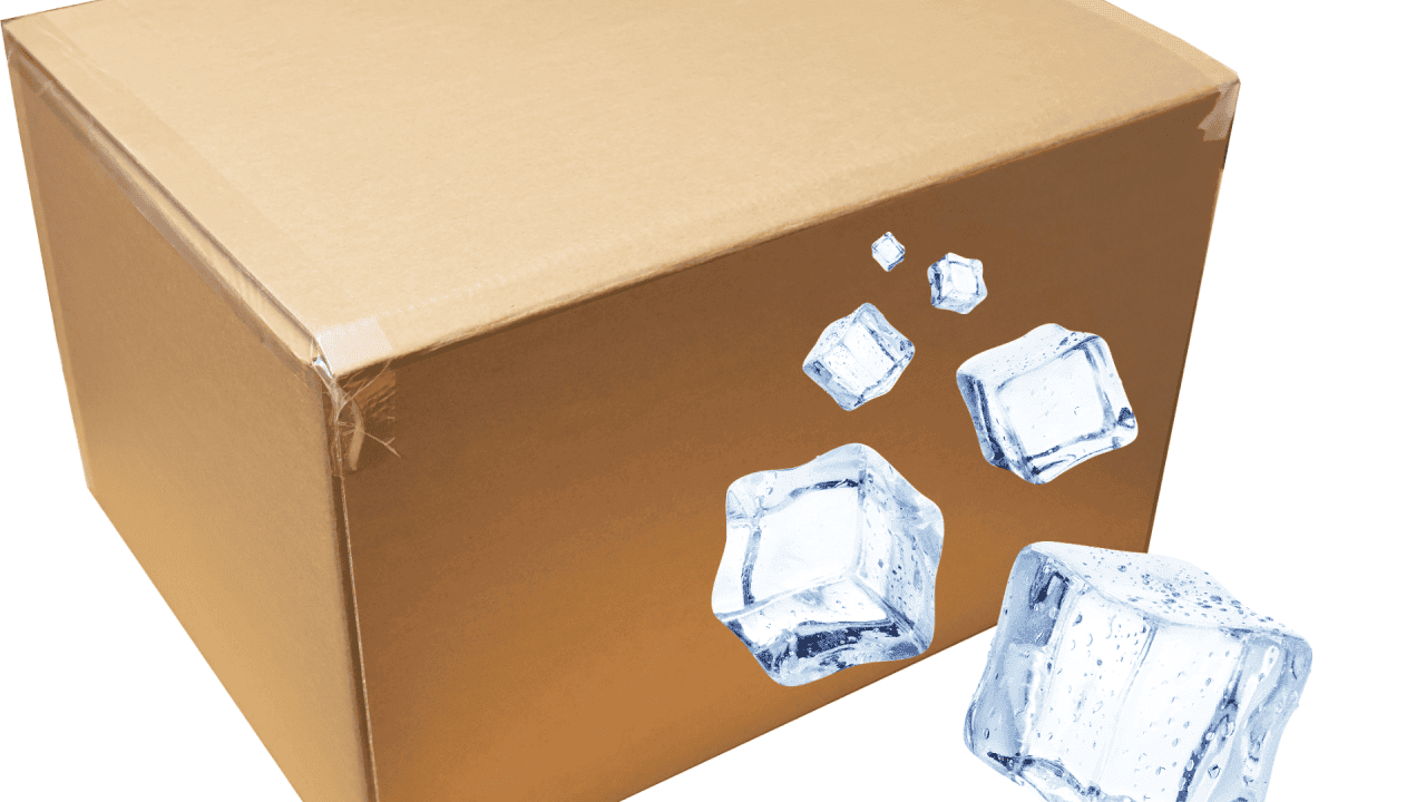 Cooling Shipping Packaging