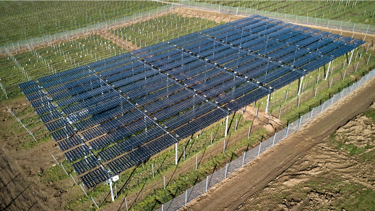 Agri-Photovoltaik im bestehenden Weinanbau Geisenheim