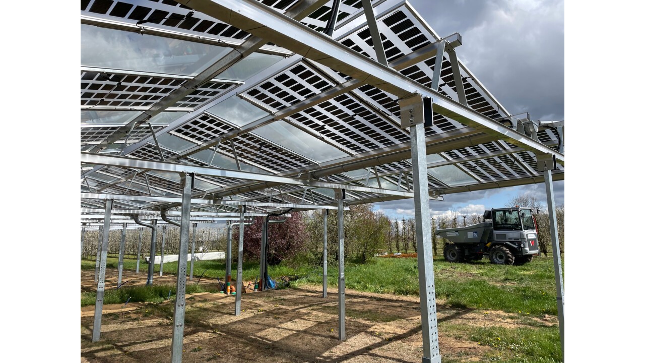 Agri-Photovoltaik über Süßkirschen Heuchlingen