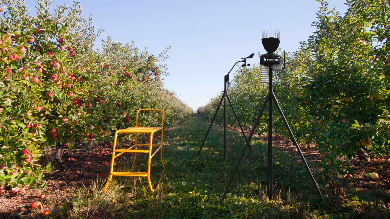 Sencrops digitaler Regenmesser Raincrop und digitaler Windmesser Windcrop