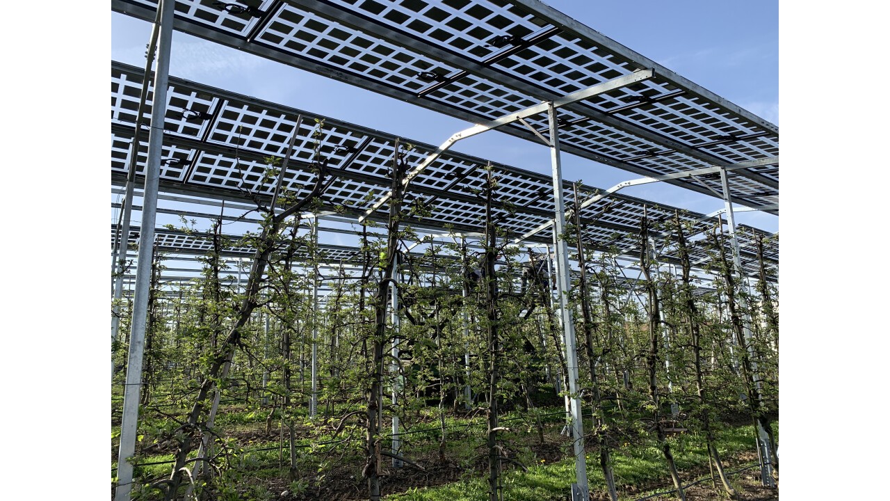 Agri-Photovoltaik im bestehenden Apfelanbau Kressbronn