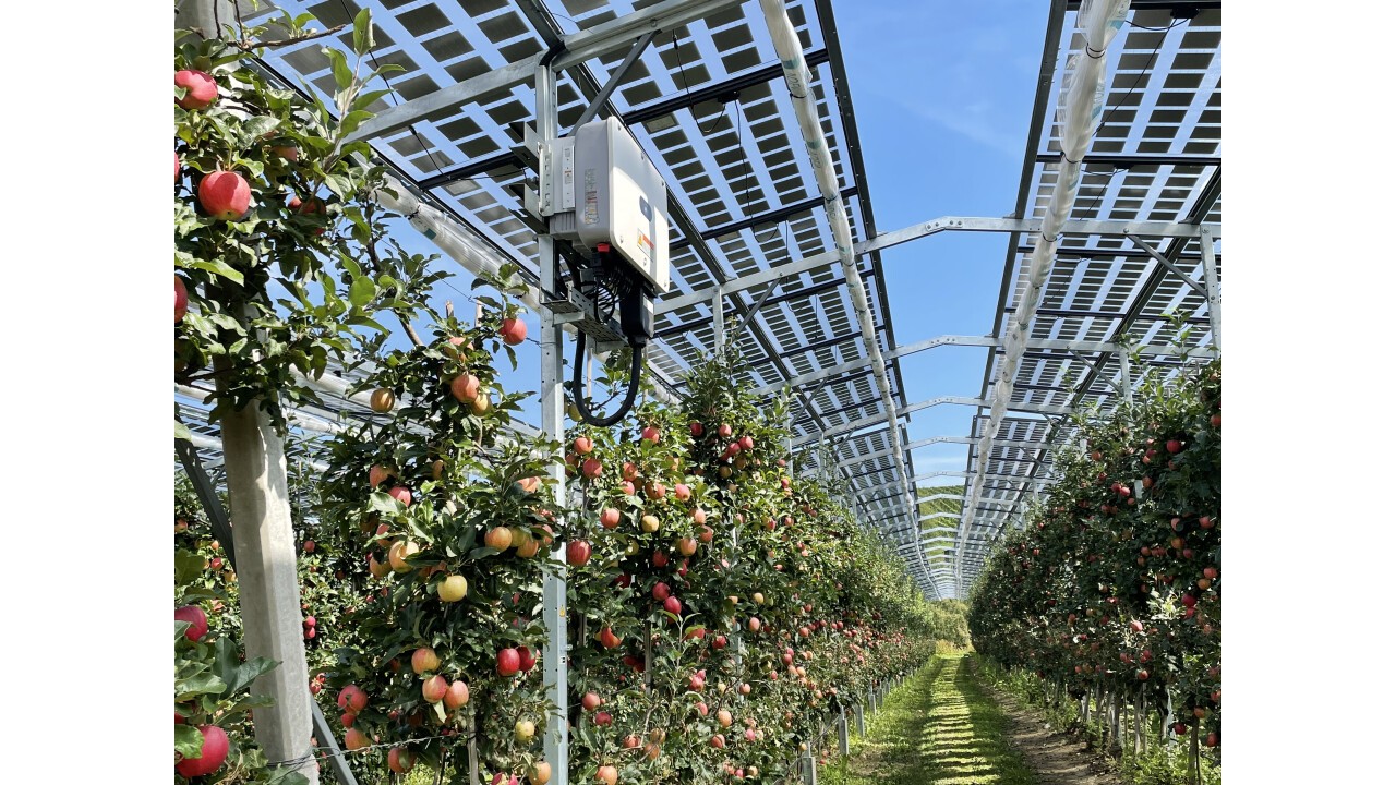 Agri-Photovoltaik im bestehenden Apfelanbau Kressbronn