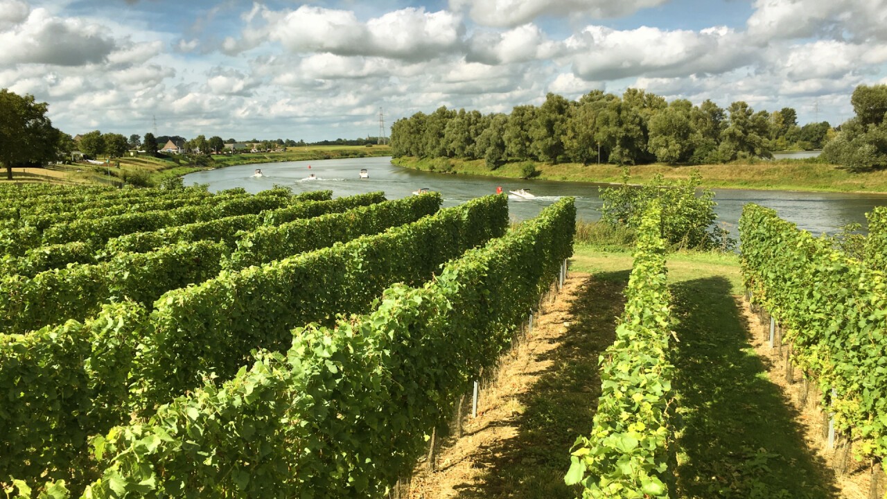 Weingut Aldeneyck - Aldeneik-Maaseik Limburg – Belgien