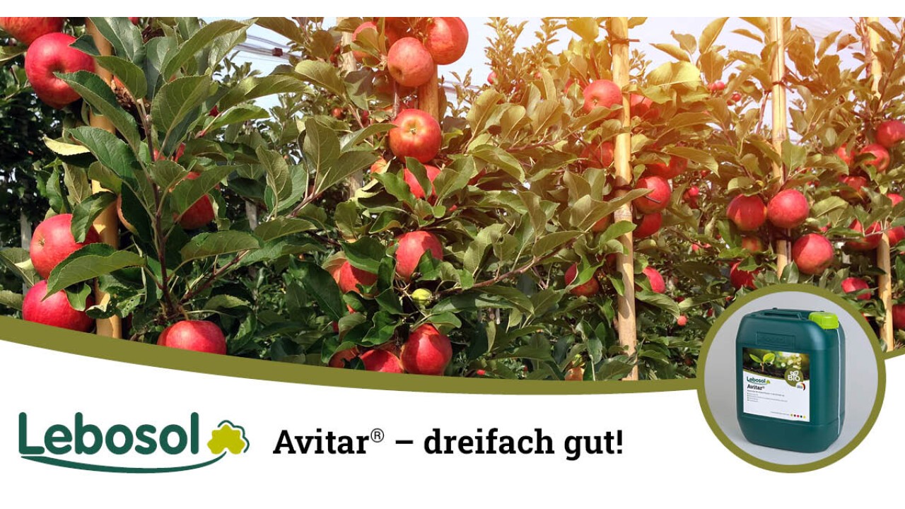 Avitar® dreifach gut! Starke Fruchtausfärbung im Kernobst