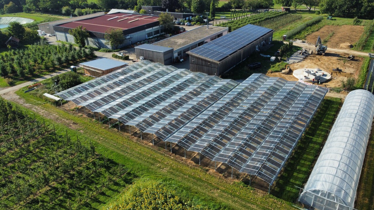 Blick auf die Agri-PV-Anlage über Beerenobst