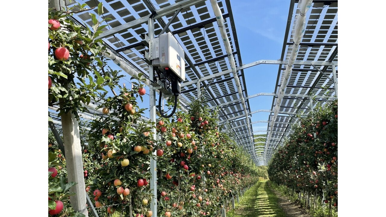 Agri-photovoltaics in the existing apple orchard in Kressbronn