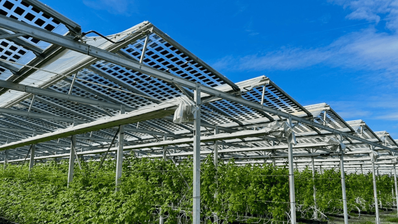 Agrivoltaic installation, Conthey, Switzerland