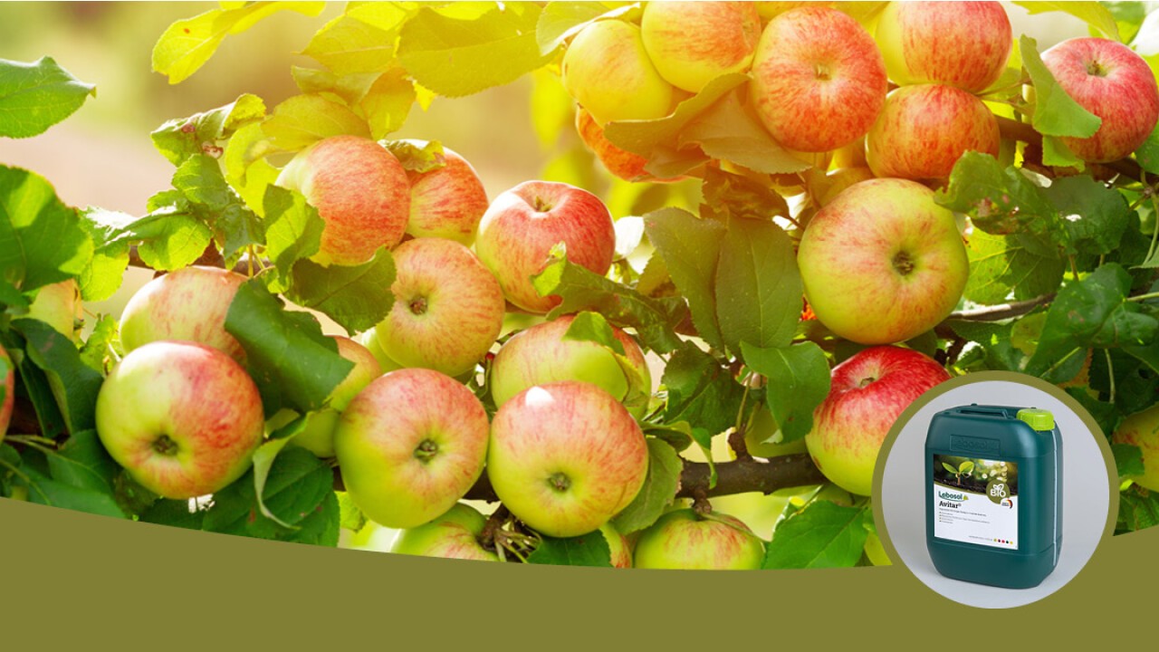 Avitar® – dreifach gut! Organische NK-Dünger von Lebosol®