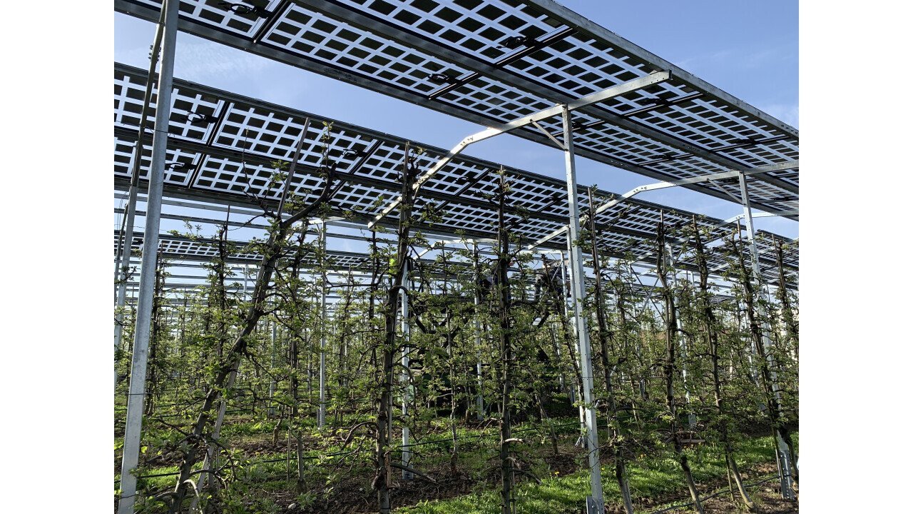 Agri-photovoltaics in the existing apple orchard in Kressbronn