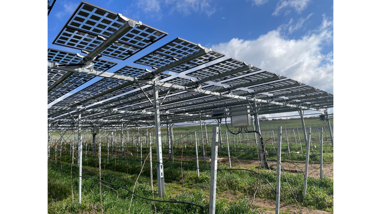 Agri-Photovoltaik im bestehenden Weinanbau Geisenheim