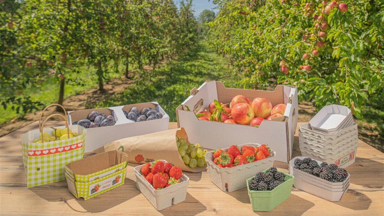 Plastic-free packaging from FPS Flexpack for fruit and vegetables