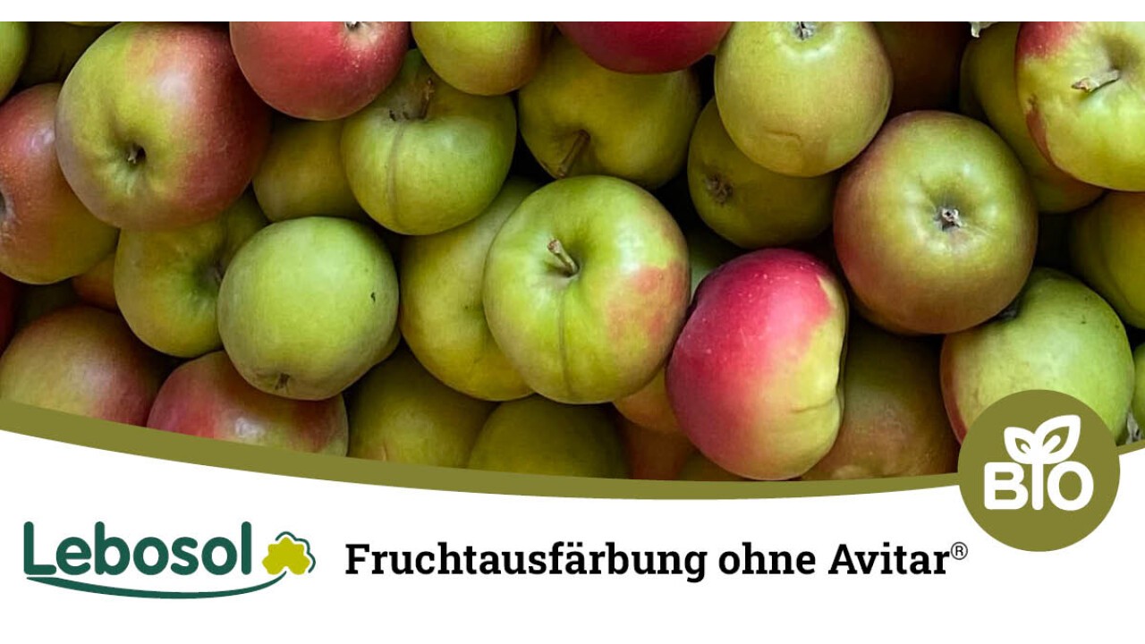 Ohne Avitar® fehlt die rote Ausfärbung und die Qualität sinkt