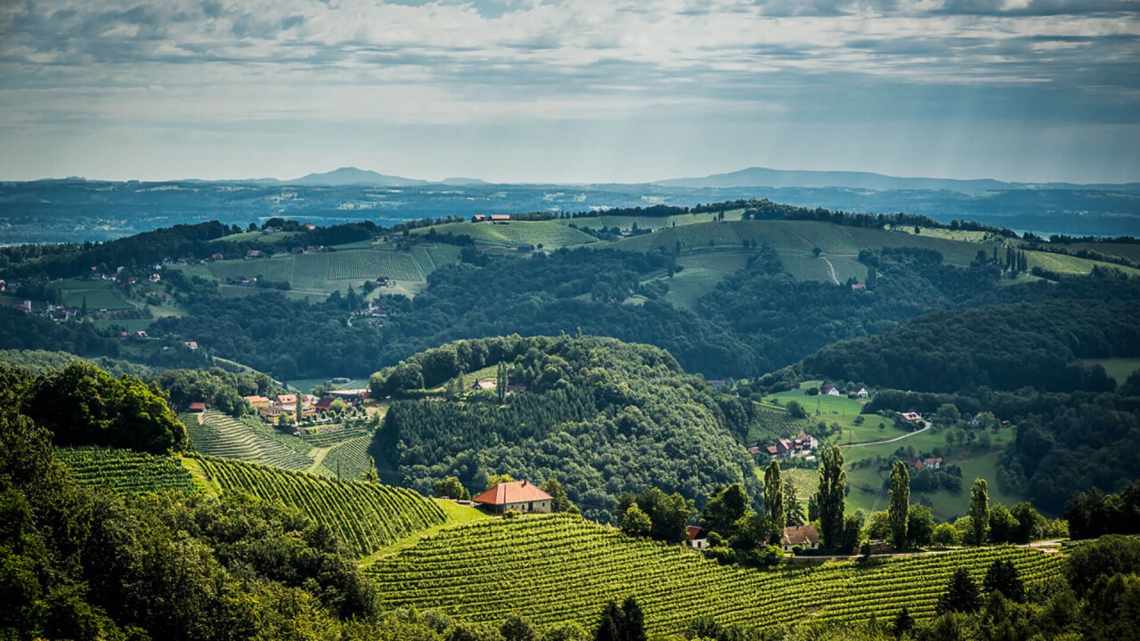 Weingut Schneeberger - Heimschuh Steiermark – Österreich