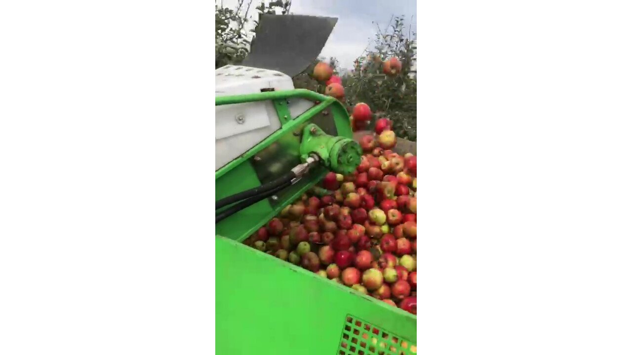 Bunker kann 1 Tonne Äpfel aufnehmen