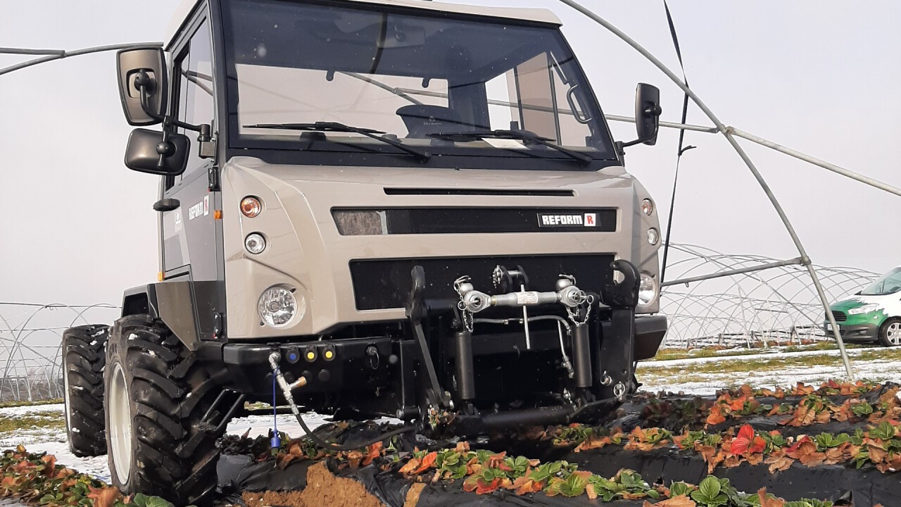 Reform Muli T6 im Einsatz für den Pflanzenschutz im Erdbeertunnel. 