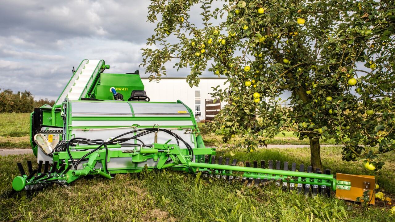 Bäuerle Obstwiesel OW421