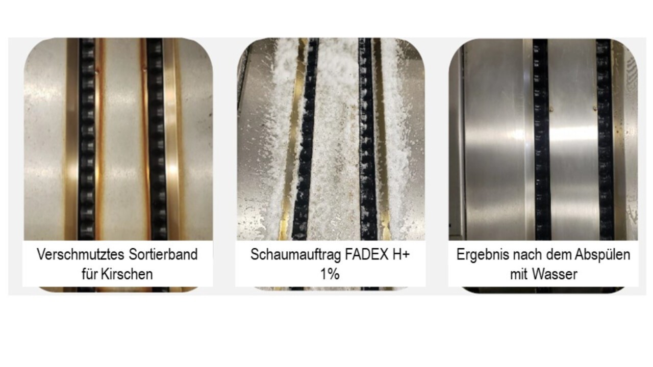 Reinigungsleistung von FADEX H+ an Sortierbändern