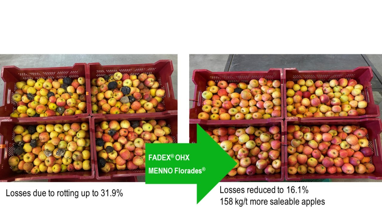 Increase in marketable goods through hygiene measures