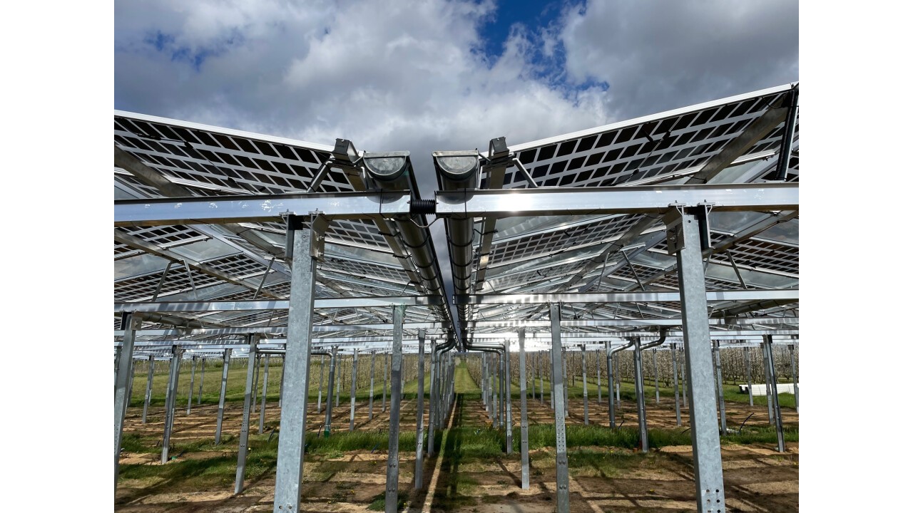 Agri-Photovoltaik über Süßkirschen Heuchlingen