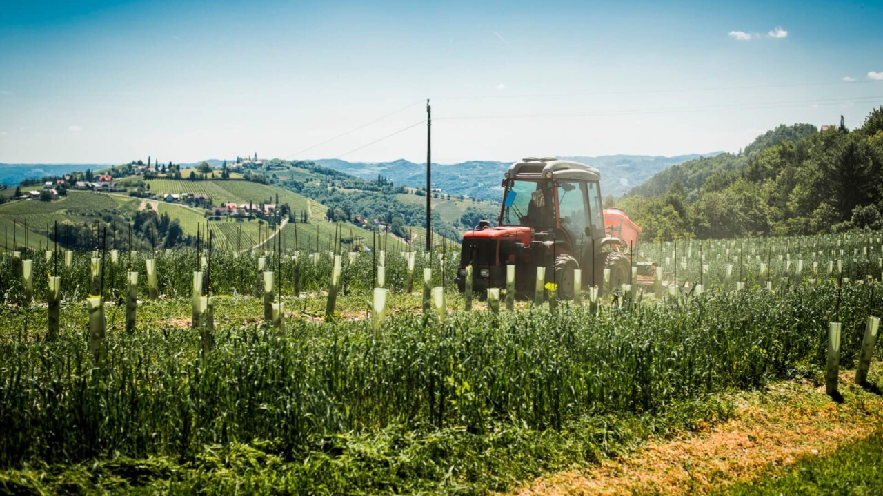 Weingut Schneeberger - Heimschuh Steiermark – Österreich