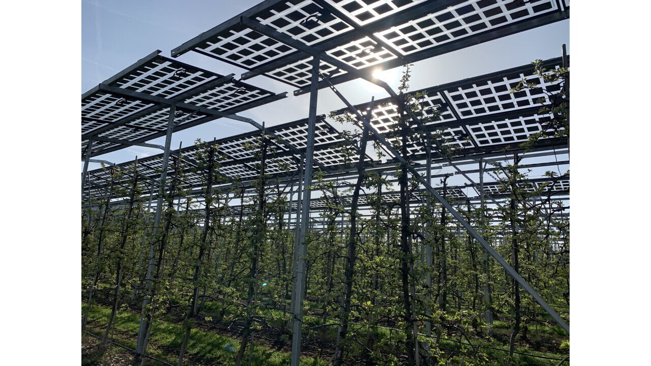 Agri-photovoltaics in the existing apple orchard in Kressbronn