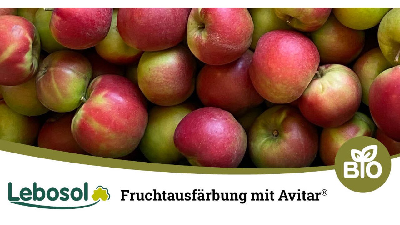 Deutliche Fruchtausfärbung bei Äpfeln mit Avitar®