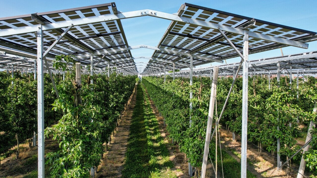 Agri-photovoltaics in the existing apple orchard in Kressbronn