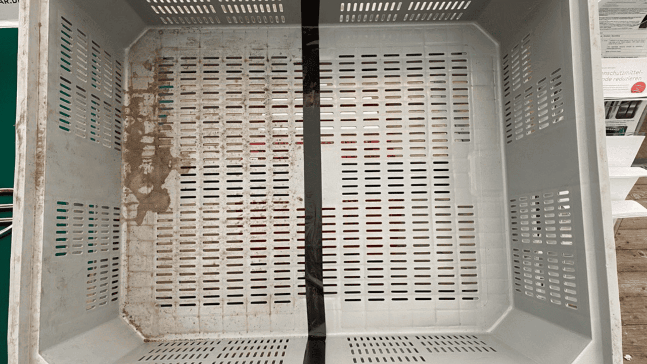 Before and after comparison of crate cleaning with qualified cleaner 