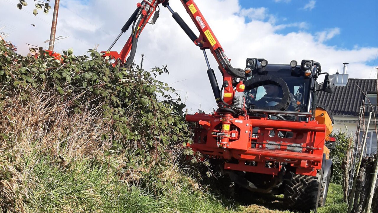 Holder S75 mit Auslegemulcher DMB400 in Weinterrassen am Bodensee.