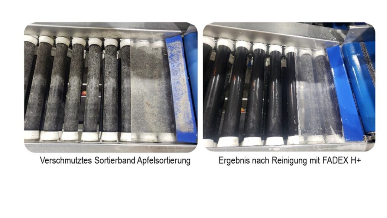 Cleaning performance of FADEX H+ on sorting belts