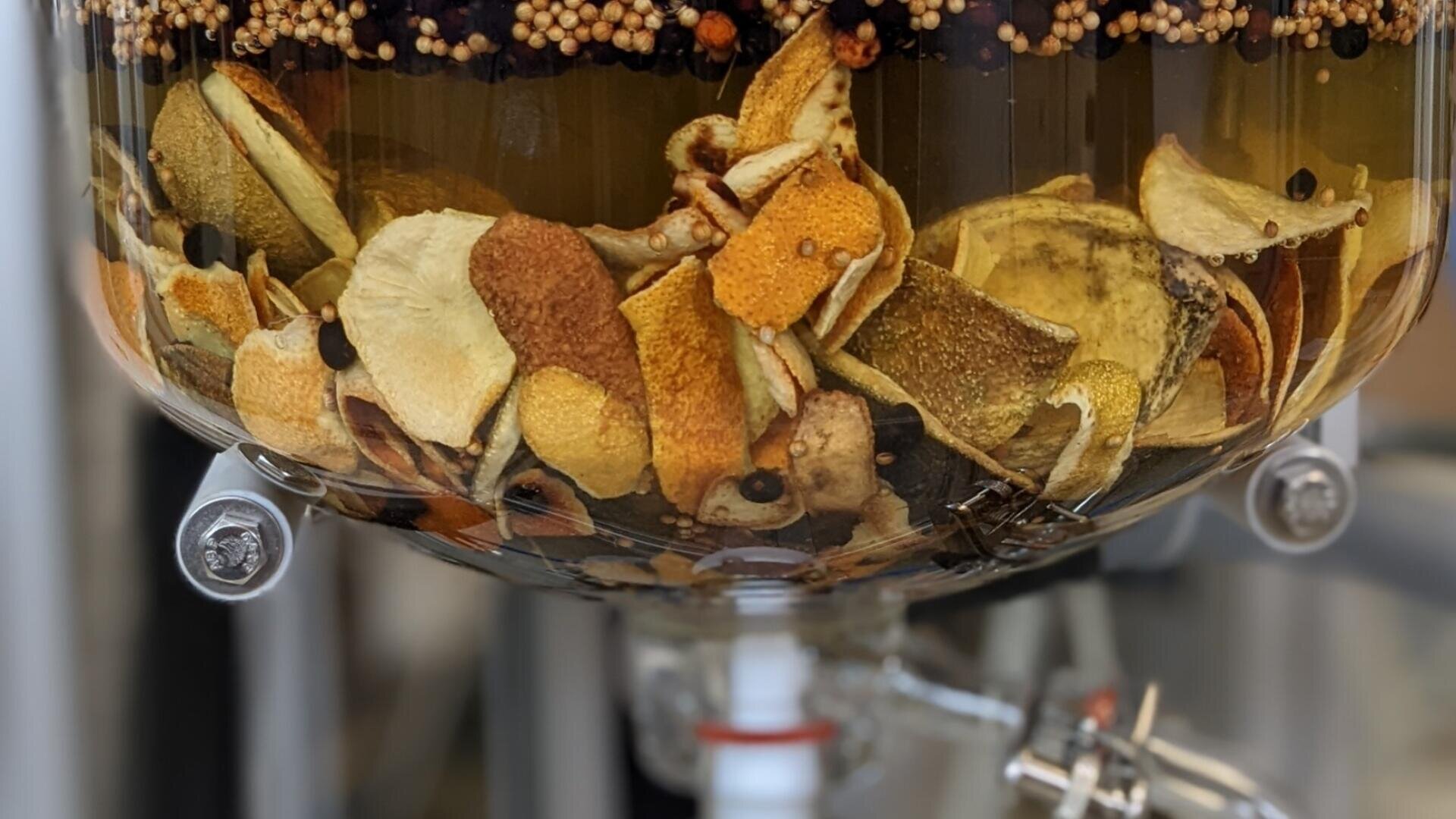 Nahaufnahme eines Glasbehälters, der mit in Scheiben geschnittenen getrockneten Zitrusschalen, Samen und Gewürzen gefüllt ist, die in einer Flüssigkeit einweichen, die wahrscheinlich für einen Aufguss oder eine Destillation bestimmt ist, mit einem Metallhahn am Boden.