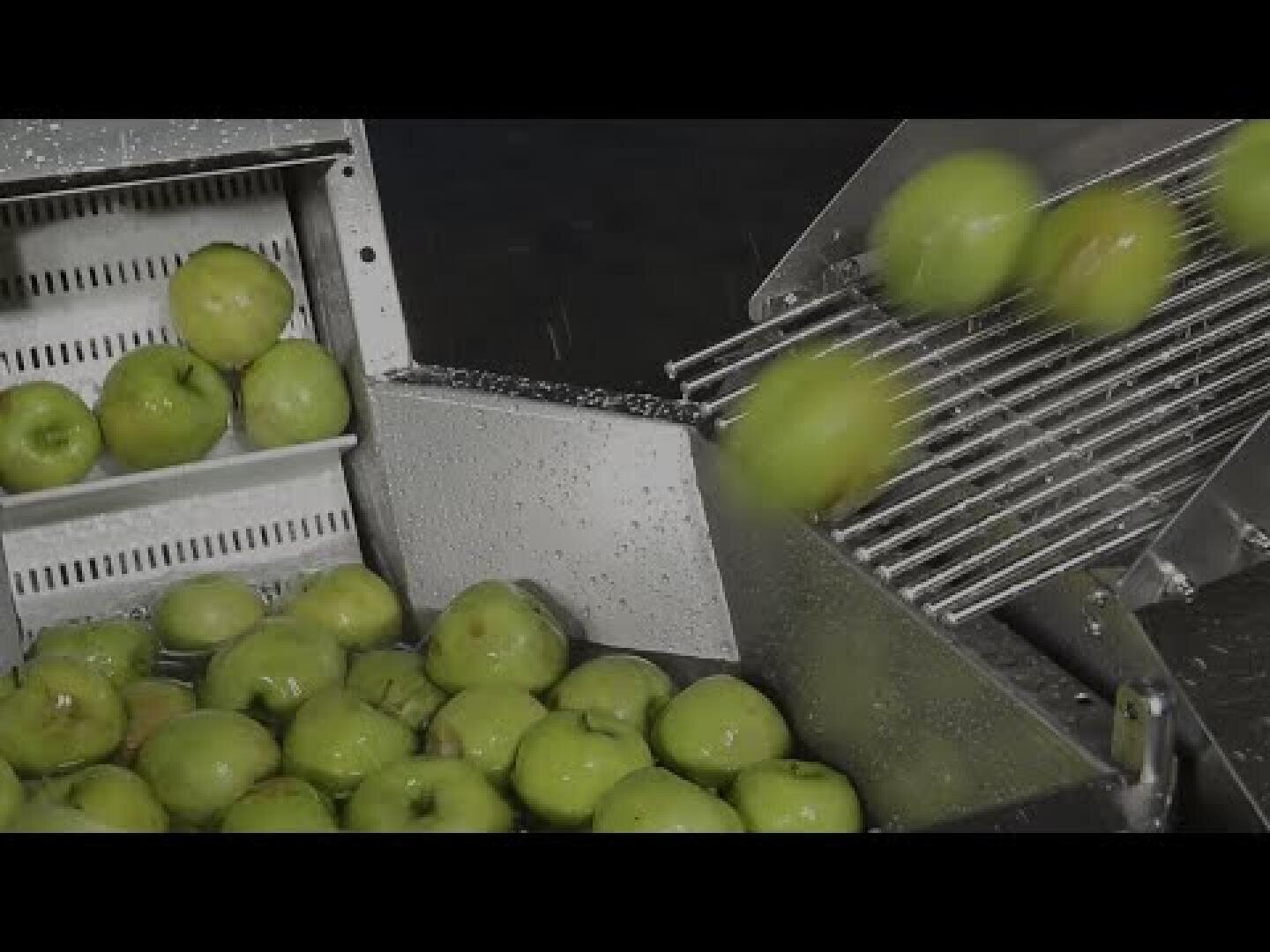 A group of green apples is washed and sorted by an industrial machine in a production line. Drops of water can be seen on the apples and the equipment.