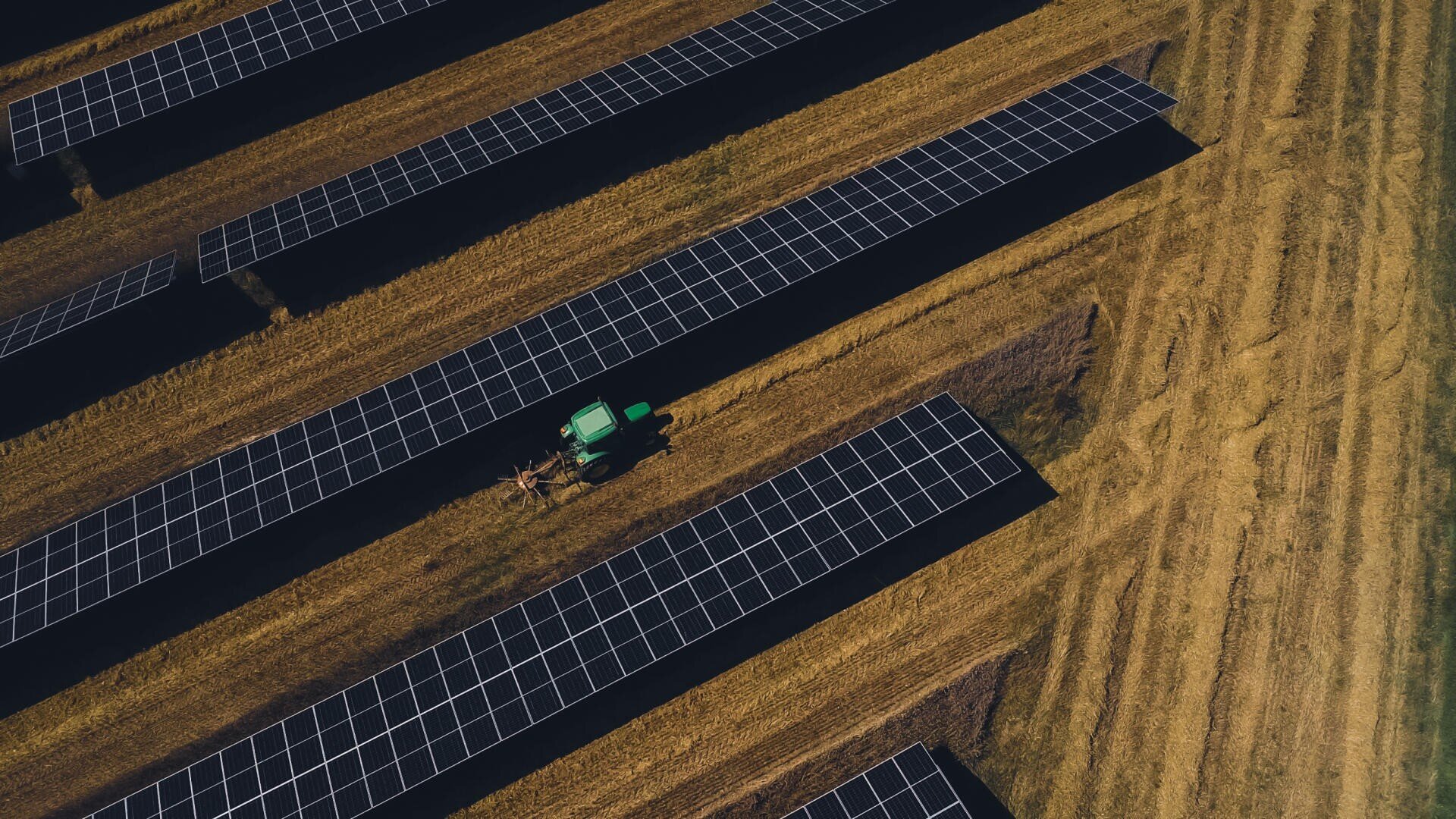 Luftaufnahme eines grünen Traktors, der an einem sonnigen Tag Felder zwischen Reihen großer Solarmodule pflügt, mit sauberen Linien aus gemähtem Gras und goldbraunem Boden.