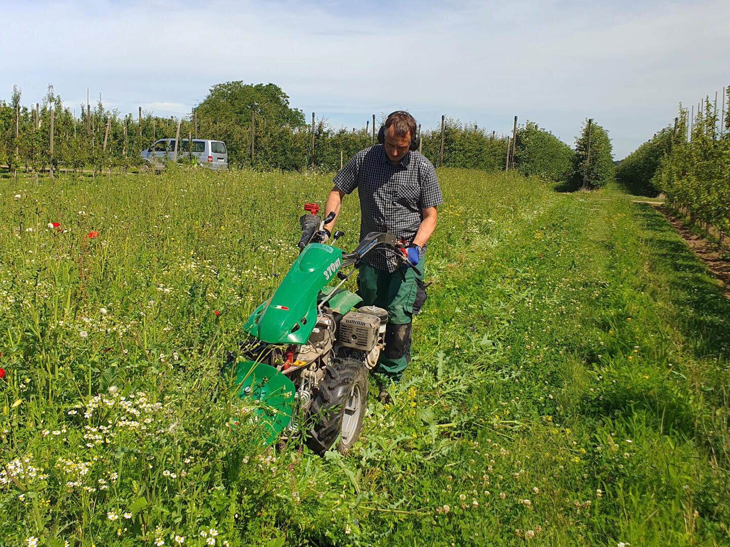 Eine Person bedient eine grüne motorisierte Bodenfräse in einem grasbewachsenen, blumenreichen Feld, das von Baumreihen umgeben ist.