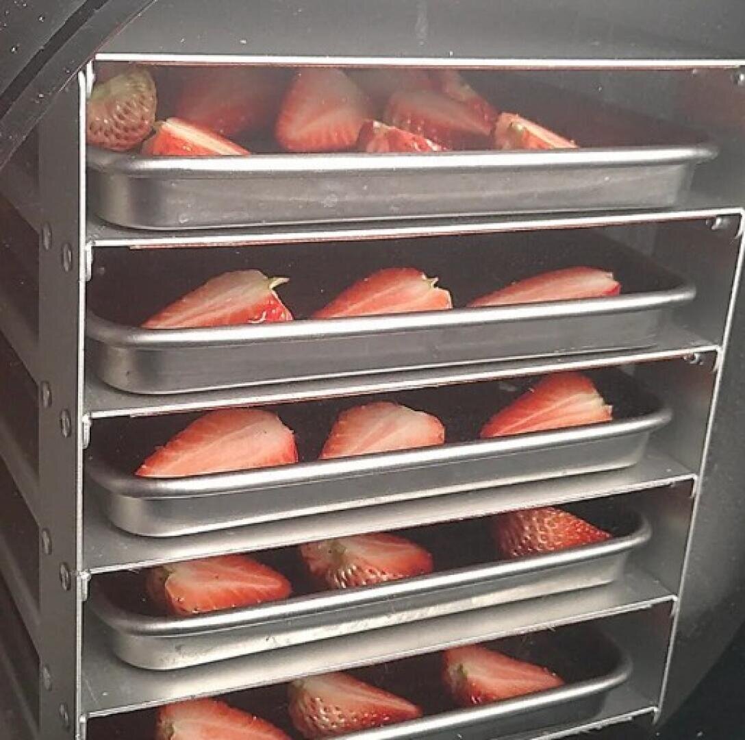 Sliced strawberries arranged on multiple metal trays inside a food dehydrator, ready for drying.