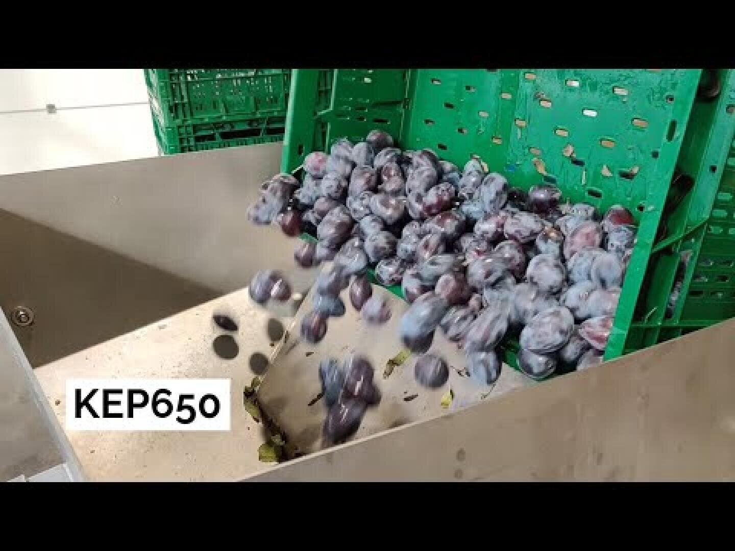 A group of dark purple grapes moves down a metal chute toward green plastic crates in a processing facility. The text KEP650 appears in the lower left corner.