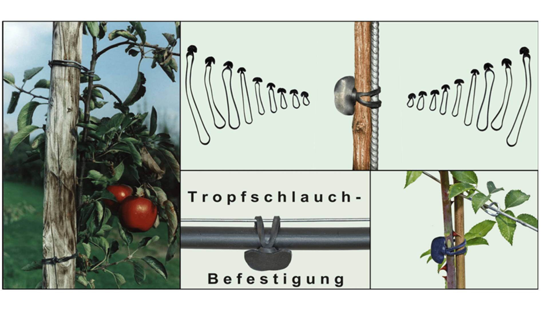 Collage mit Verwendungszwecken und Diagrammen eines Klettverschlusses für die Gartenarbeit, mit dem Pflanzen und Schläuche an Pfählen und Stangen befestigt werden können, mit einer Nahaufnahme einer Tomatenpflanze, die mit dem Klettverschluss befestigt ist.