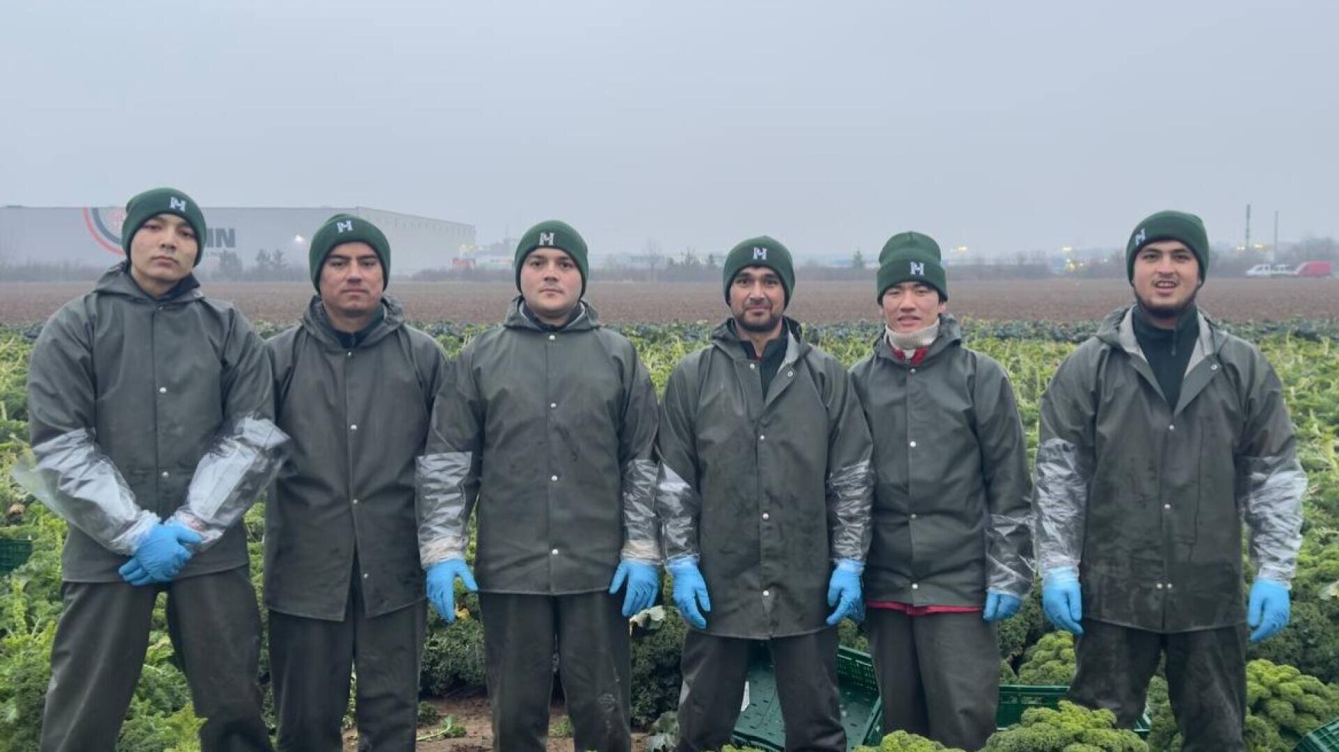 Sechs Personen mit grünen Jacken, grünen Hüten und blauen Handschuhen stehen an einem bewölkten Tag nebeneinander auf einem Getreidefeld. Im Hintergrund sind ein Gebäude und ein nebliger Himmel zu sehen.