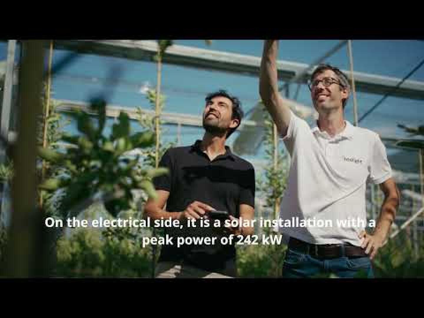 Two men stand in a greenhouse with plants, looking up and gesturing. Sunlight streams through the glass roof. Text on the image reads: On the electrical side, it is a solar installation with a peak power of 242 kW.