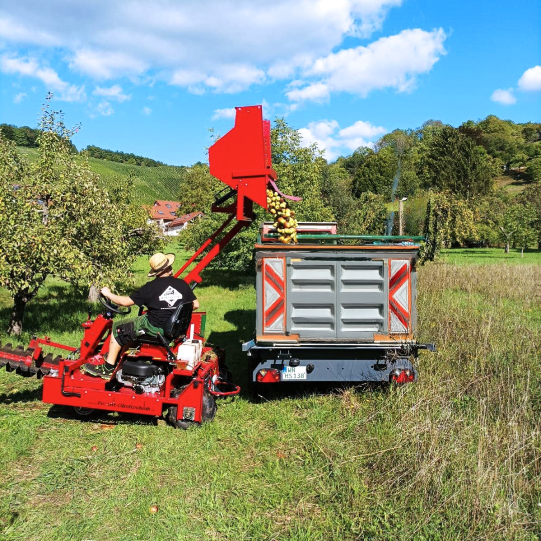 Eine Person bedient eine rote Erntemaschine und lädt gelbe Äpfel in einen Anhänger in einer Obstplantage an einem sonnigen Tag, umgeben von grünem Gras und Bäumen, mit Hügeln und Häusern im Hintergrund.
