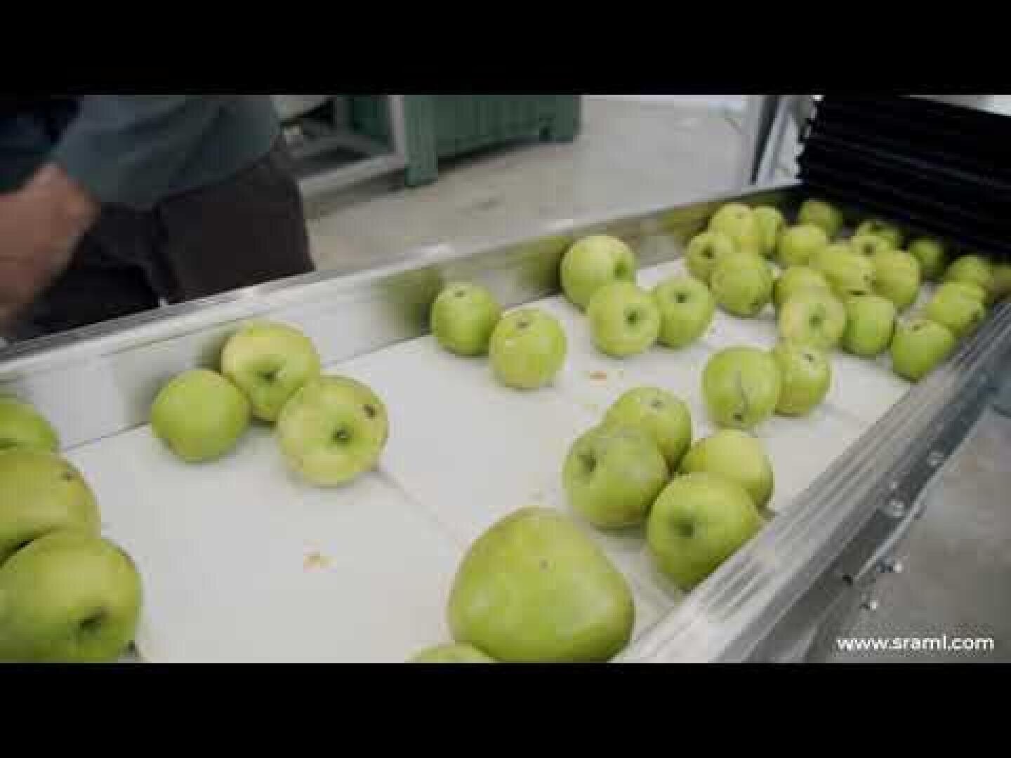 A conveyor belt transports several green apples in a processing plant. A person's arm is partially visible on the left-hand side. The website www.sraml.com can be seen in the bottom right-hand corner.