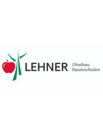 Beat Lehner
