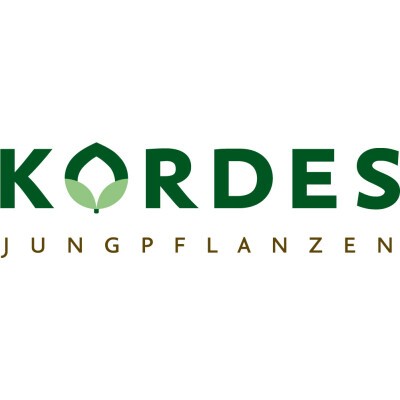 Logo Kordes Jungpflanzen Handels GmbH