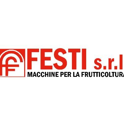 Logo FESTI srl