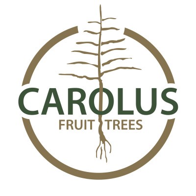 Logo C. CAROLUS BVBA Baumschule