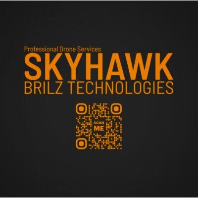 Logo Skyhawk Brilz Technologies