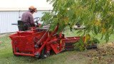 Nut harvesting machine - OB70R nut picker